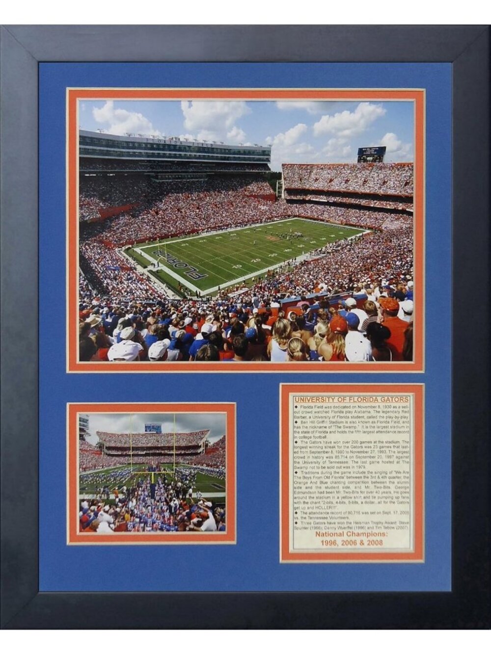 Florida Gators Stadium Framed Photo Collage - 11x14 Inch Sports Decor